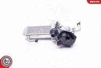 ESEN SKV 14SKV154 - Válvula EGR