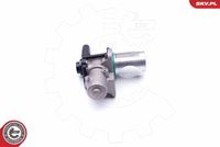 ESEN SKV 14SKV172 - Válvula EGR