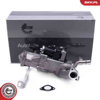 ERA 555326A - Válvula EGR