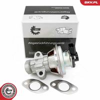 ERA 555291 - Válvula EGR