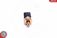 ESEN SKV 17SKV624 - Sensor, presión combustible