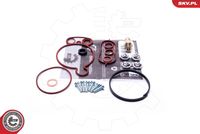 ESEN SKV 18SKV805 - kit reparación, bomba vacío (frenos)