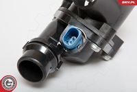 ESEN SKV 20SKV014 - Termostato, refrigerante