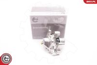 ESEN SKV 23SKV387 - Pinza de freno