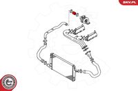 ESEN SKV 24SKV036 - Tubo flexible de aire de sobrealimentación