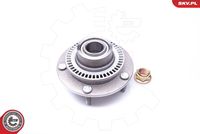 ESEN SKV 29SKV183 - Juego de cojinete de rueda