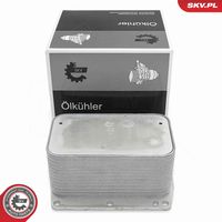 ERA 880207A - Bobina de encendido