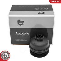 BLUE PRINT ADBP990039 - Cubierta, caja filtro de aceite - Blue Print Solution