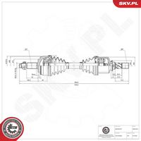 BREMBO C61009 - Cilindro maestro, embrague - ESSENTIAL LINE