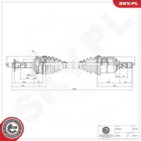 BLUE PRINT ADH29634 - Polea inversión/guía, correa poli V