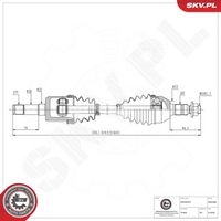 DAYCO KWD1335 - Juego de cojinete de rueda