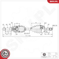 CORTECO 19027929 - Tubo flexible de frenos