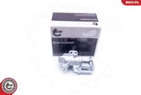 ESEN SKV 42SKV293 - Pinza de freno