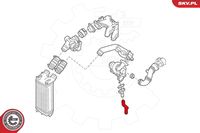 ESEN SKV 43SKV067 - Tubo flexible de aire de sobrealimentación