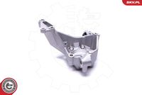 ESEN SKV 47SKV811 - Muñón del eje, suspensión de rueda