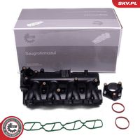 ESEN SKV 49SKV038 - Módulo colector de admisión