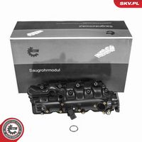 ESEN SKV 49SKV005 - Módulo colector de admisión