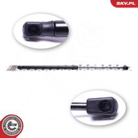 ESEN SKV 02SKV207 - Bomba de combustible