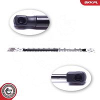 DOGA 2029403 - Muelle neumático, maletero/compartimento de carga