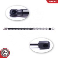 DOGA 2036913 - Muelle neumático, maletero/compartimento de carga