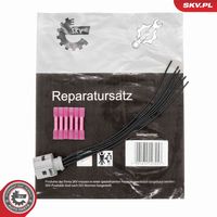 ERA 555290R - Válvula EGR