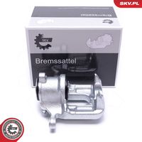 ESEN SKV 55SKV423 - Pinza de freno