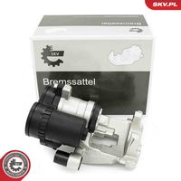 DRI 4200030 - Pinza de freno