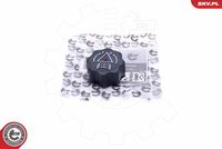 ESEN SKV 61SKV025 - Tapón, depósito de refrigerante