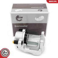 DRI 3256720 - Pinza de freno