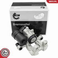 DRI 4289820 - Pinza de freno