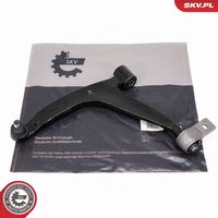 DELPHI TC1251 - Barra oscilante, suspensión de ruedas