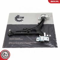 DELPHI TC430 - Barra oscilante, suspensión de ruedas