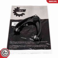 DELPHI TC1075 - Barra oscilante, suspensión de ruedas