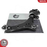 DELPHI TC2160 - Barra oscilante, suspensión de ruedas