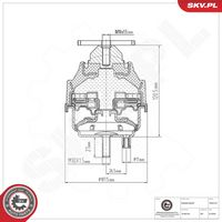 CORTECO 80000674 - Soporte, motor