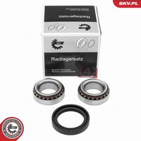 DAYCO KWD1099 - Juego de cojinete de rueda