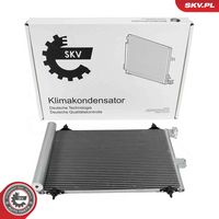 DRI 4109300 - Pinza de freno
