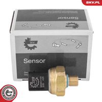 BOSCH 0281006266 - Sensor, presión combustible