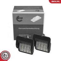 ESEN SKV 72SKV554 - Piloto de matrícula