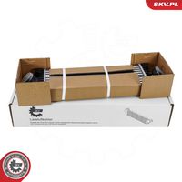 ESEN SKV 98SKV022 - Radiador de aire de admisión