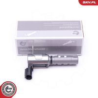 ESEN SKV 39SKV061 - Válvula control, ajuste de levas