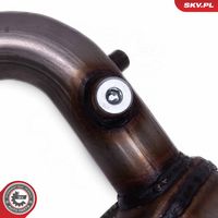 ESEN SKV 62SKV025 - Catalizador
