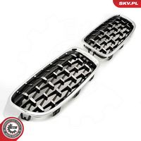 ESEN SKV 66SKV130 - Panal de radiador