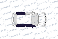 TRICLO 143070 - Interruptor, elevalunas