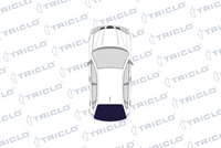 TRICLO 135870 - Cerradura de la puerta del maletero