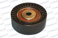 Schaeffler INA 532000110 - Polea inversión/guía, correa poli V