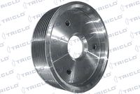 TRICLO 425270 - polea, servobomba