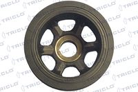 TRICLO 423299 - Polea, cigüeñal