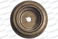 TRICLO 425021 - Polea, cigüeñal