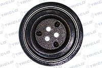TRICLO 428873 - Polea, cigüeñal